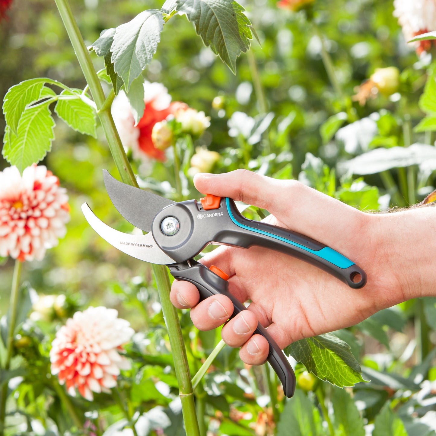 Garden Secateurs B/M Bypass