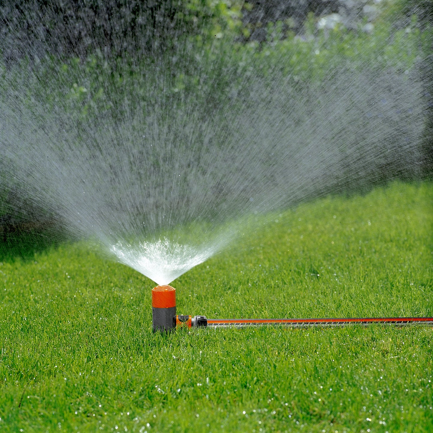 Classic Spray Sprinkler Fox
