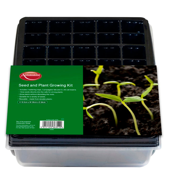 Ambassador Seed & Plant Growing Kit