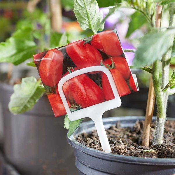 Plant T Labels Stakes 12.5cm - 10 Pack