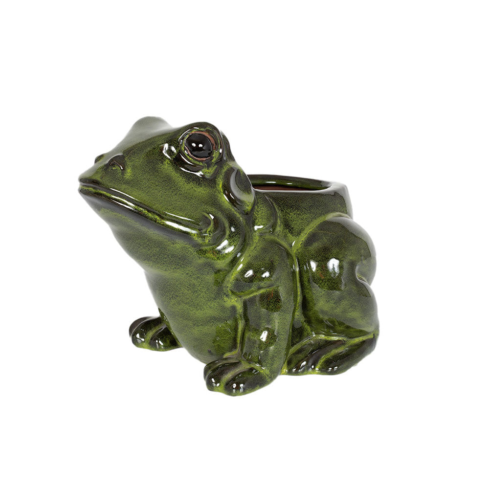 Ceramic Glazed Novelty Frog Planter 23cm