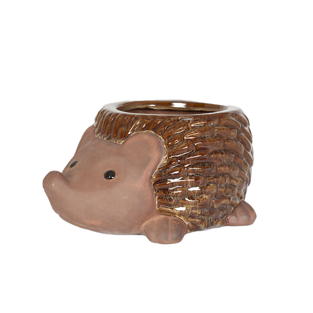 Ceramic Glazed Novelty Hedgehog Planter 23cm