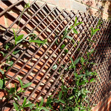 Extra Strong Expanding Plant Support Willow Trellis 1.8 x 0.9m