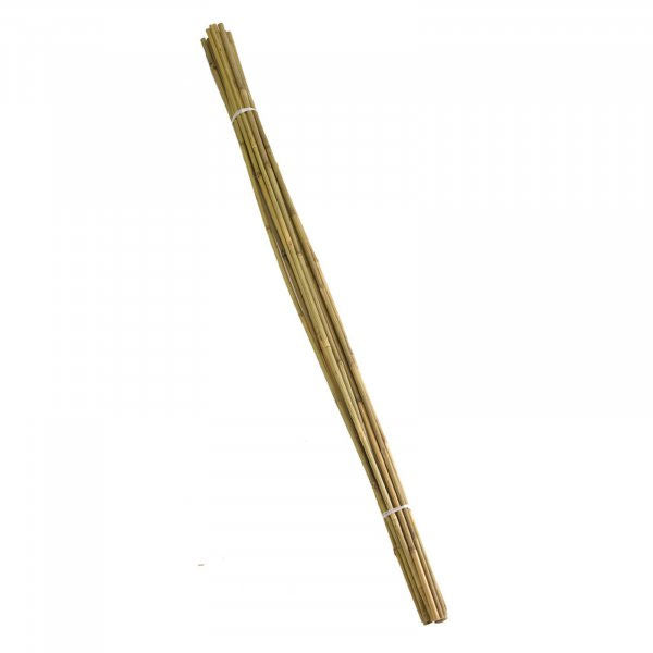 Extra Thick Bamboo Canes Bundle 150cm