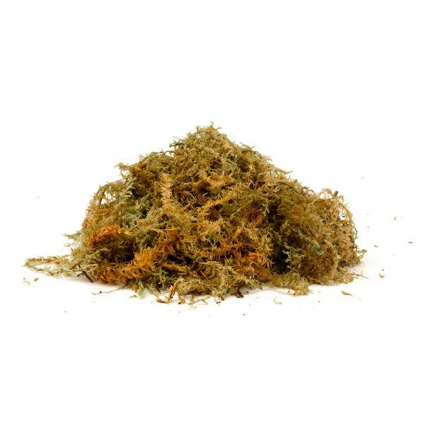 Sphagnum Moss Basket Liner - Jumbo