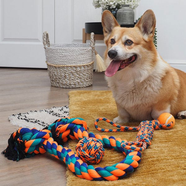Uber-Activ Ball & Ball Lobber Dog Toy