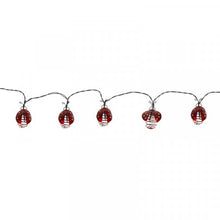 10 Ladybird Solar String Lights