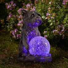 Mystic Dog Solar Garden Light Decoration