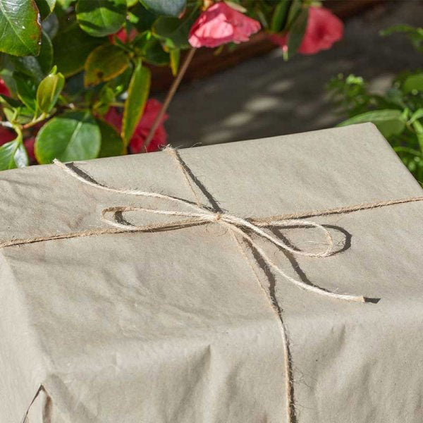 Sisal TuffTwine 100g