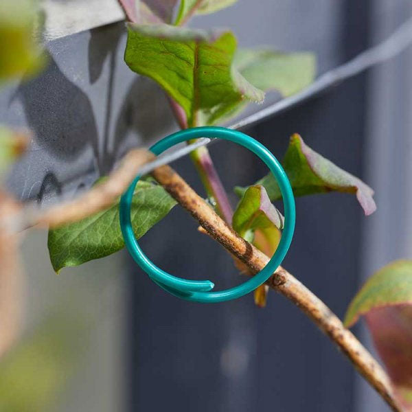 Plant Rings Coated 25cm - 50 Pack