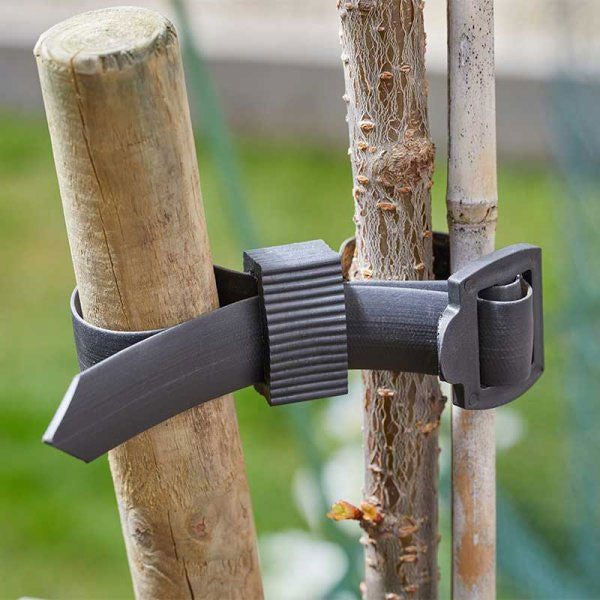 Buckle Tree Ties - 2 Pack