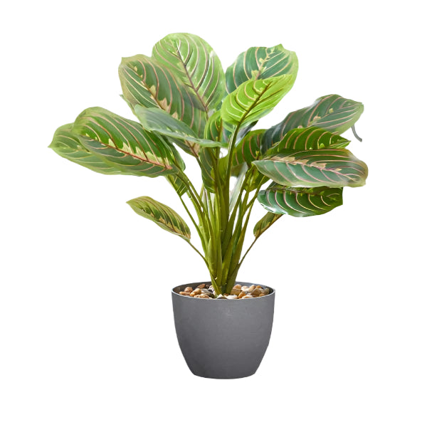 artificial prayer plant Artificial Faux Prayer Plant 35cm – Sefton Meadows Garden Centre