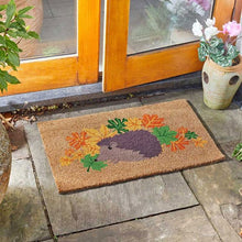 Hedgehog Decoir Door Mat 40x60cm