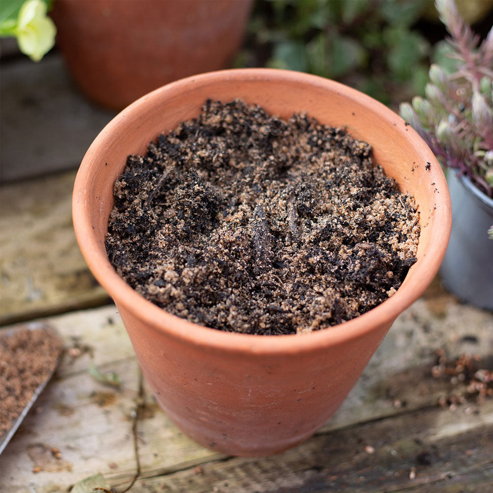 KelKay Horticultural Grit Sand Handy Pack