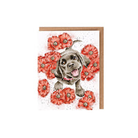 Poppy Love Labrador Seed Greeting Card 15x10cm