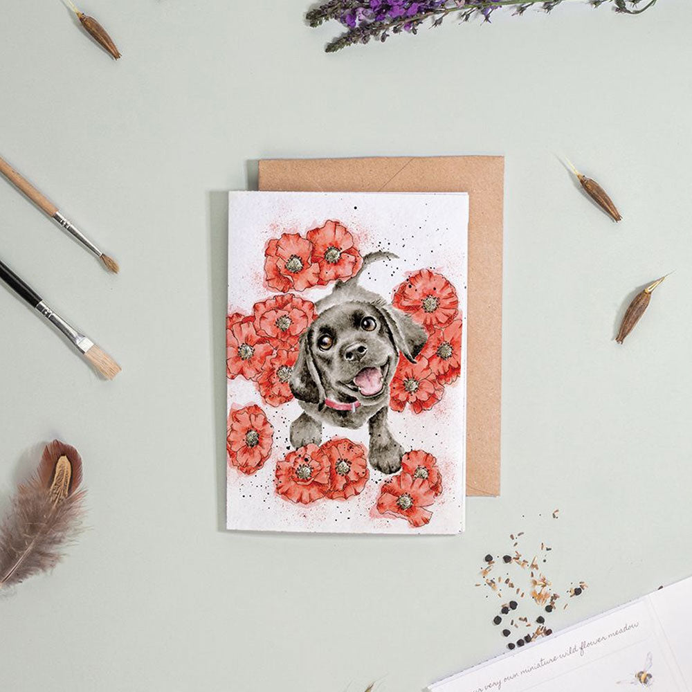 Poppy Love Labrador Seed Greeting Card 15x10cm