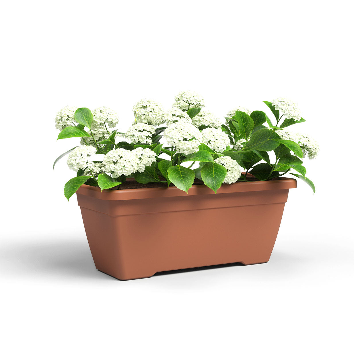 Venezia Plastic Plant Box Terracotta 40cm