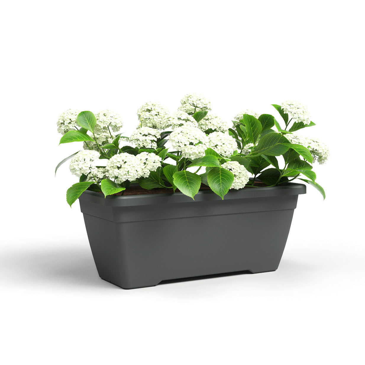 Madagascar Plastic Plant Box Anthracite 50cm