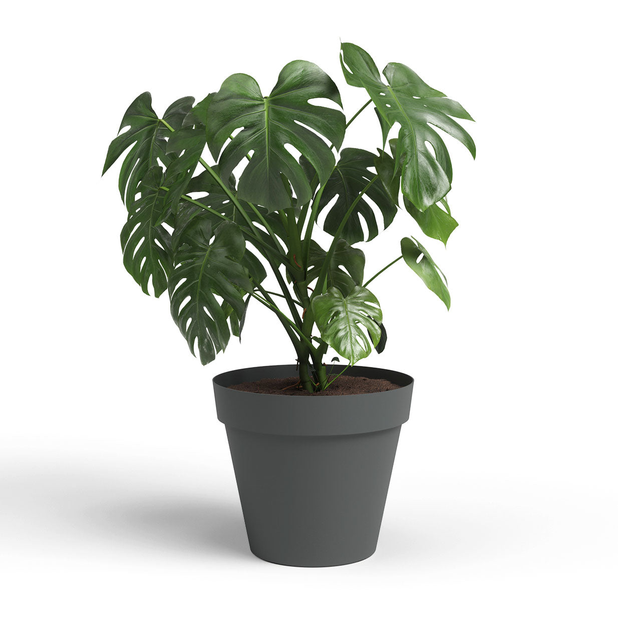 Capri Plastic Pot Anthracite 40cm