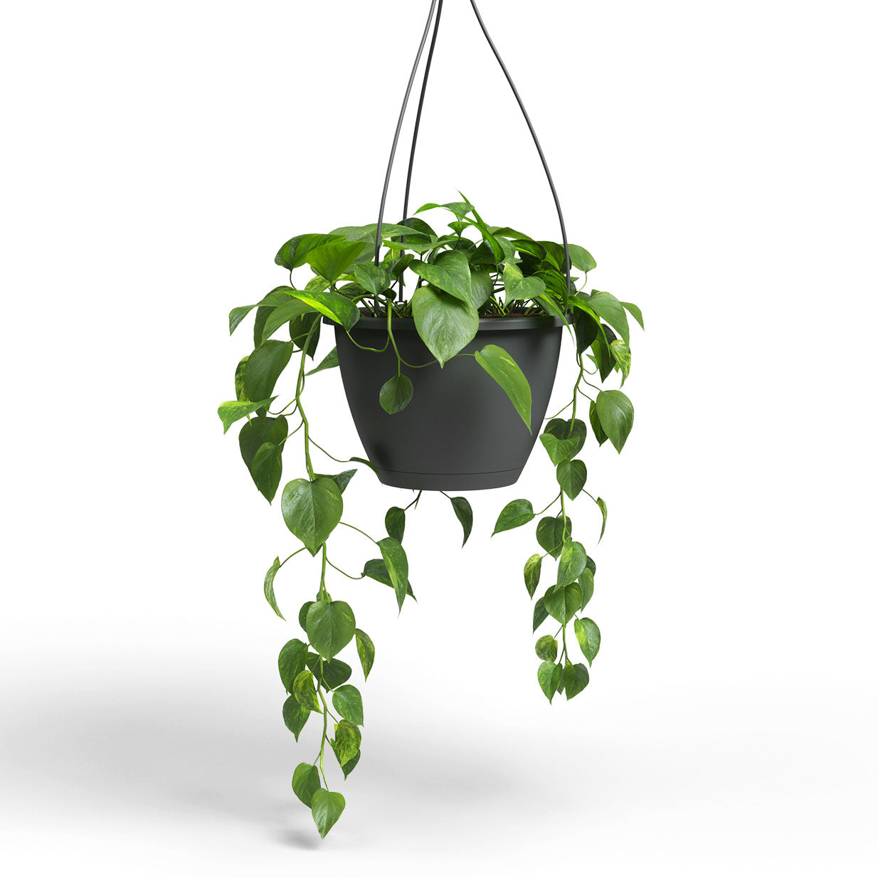 Algarve Plastic Hanging Basket Anthracite 30cm