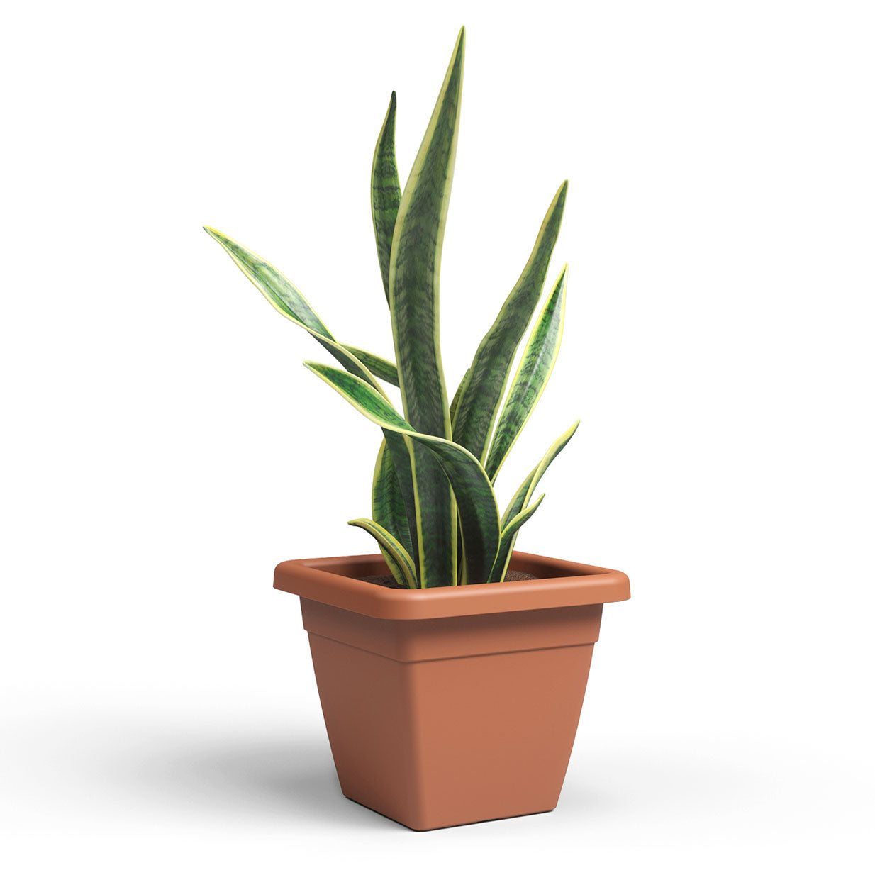 Venezia Plastic Square Pots Terracotta 40cm