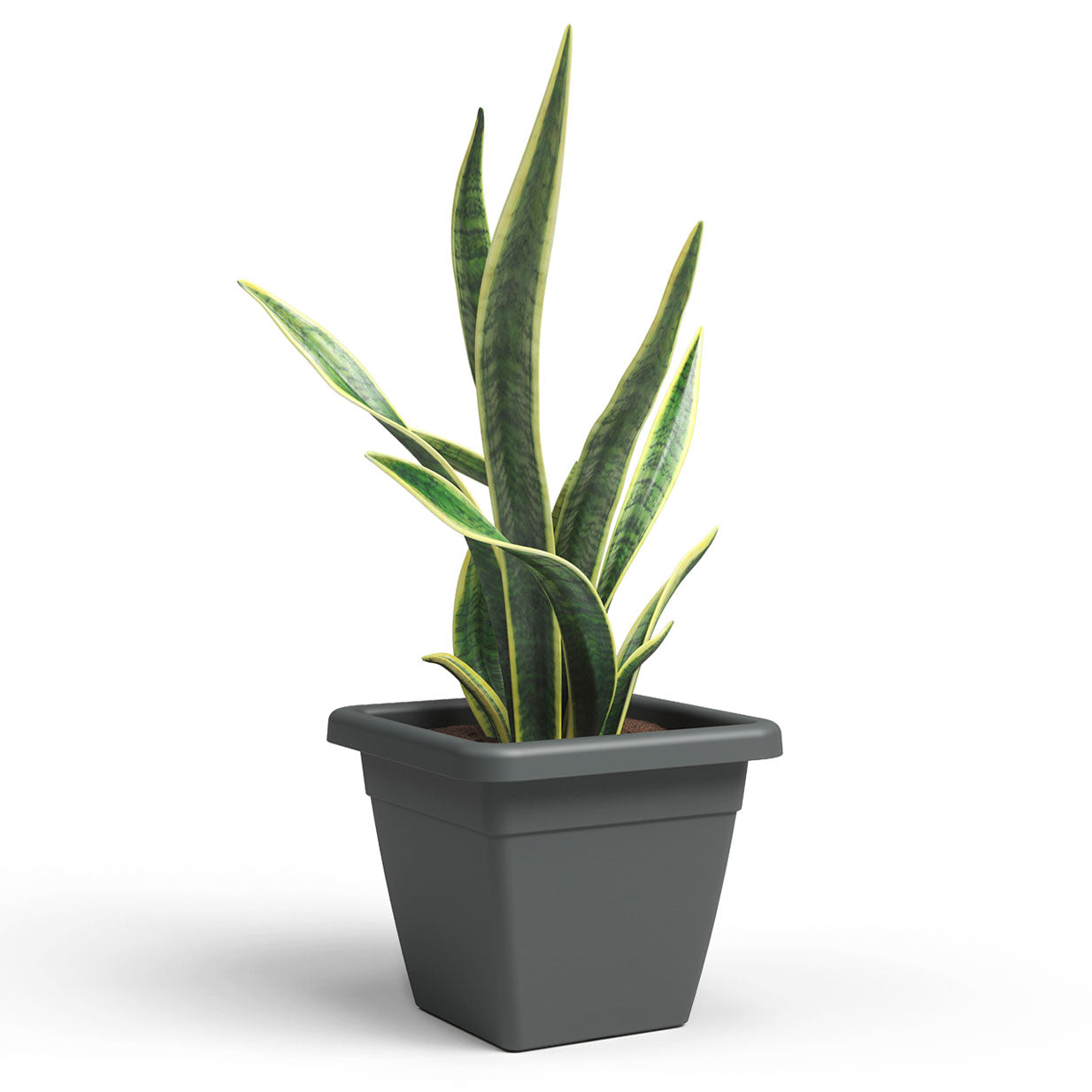 Venezia Plastic Square Plant Pot 40cm