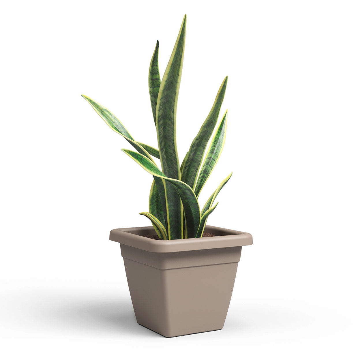 Venezia Plastic Square Pot Taupe 30cm