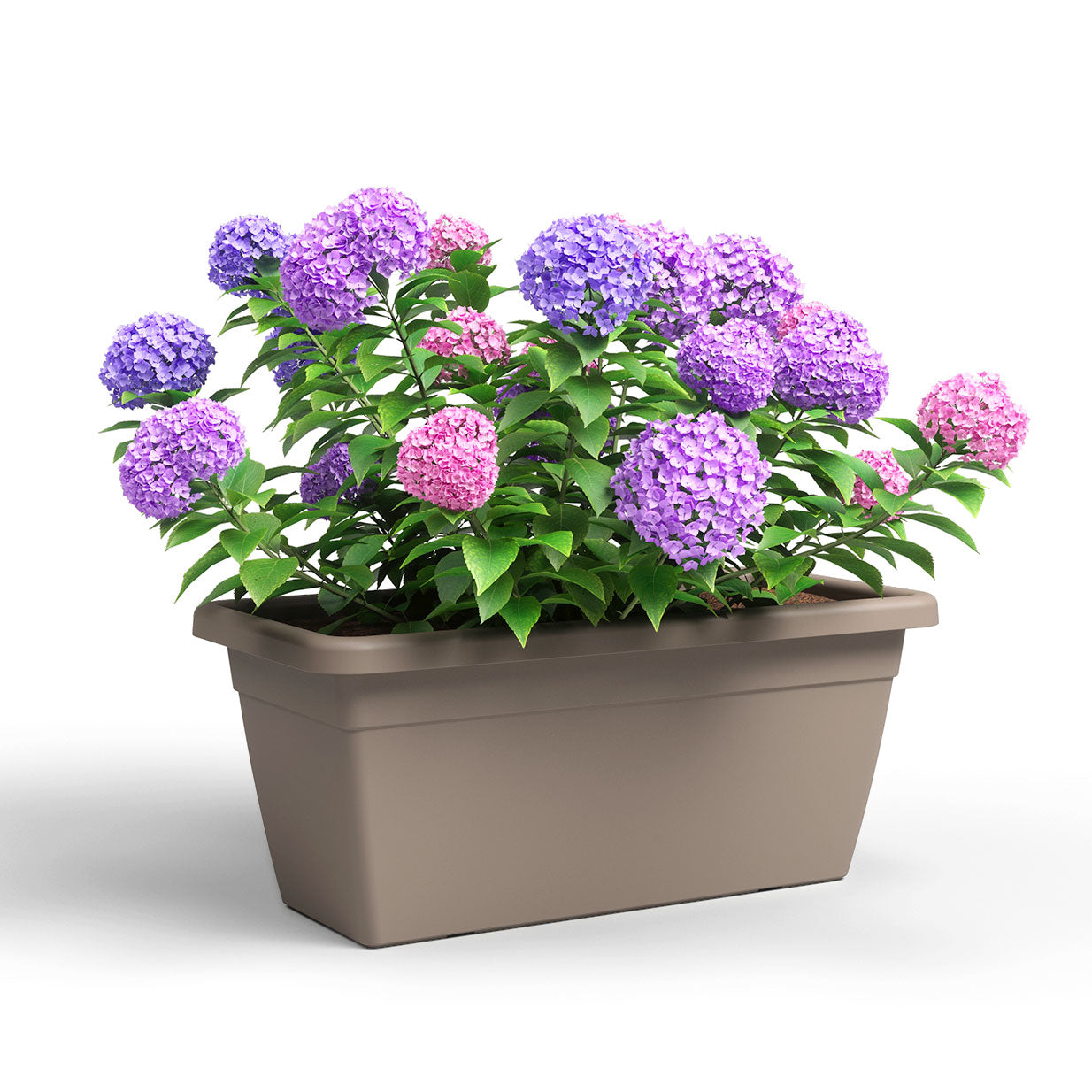 Venezia Plastic Plant Box XL Taupe 80cm