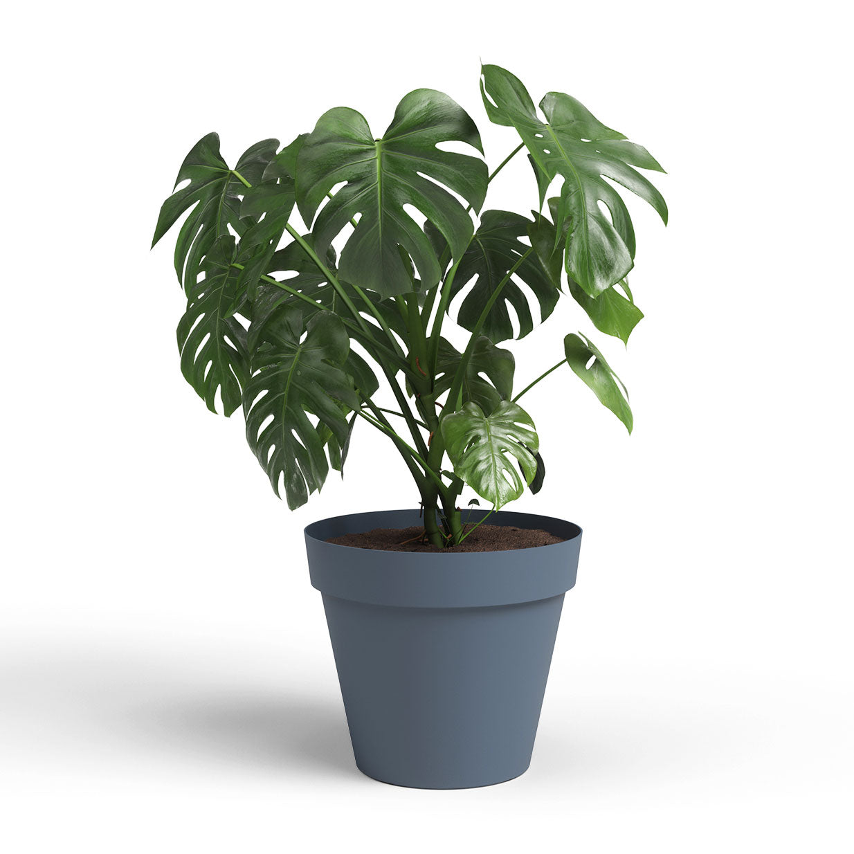 Capri Plastic Pot Slate Blue 30cm