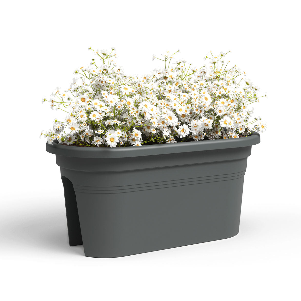 Venezia Plastic Balcony Plant Box Anthracite 60cm