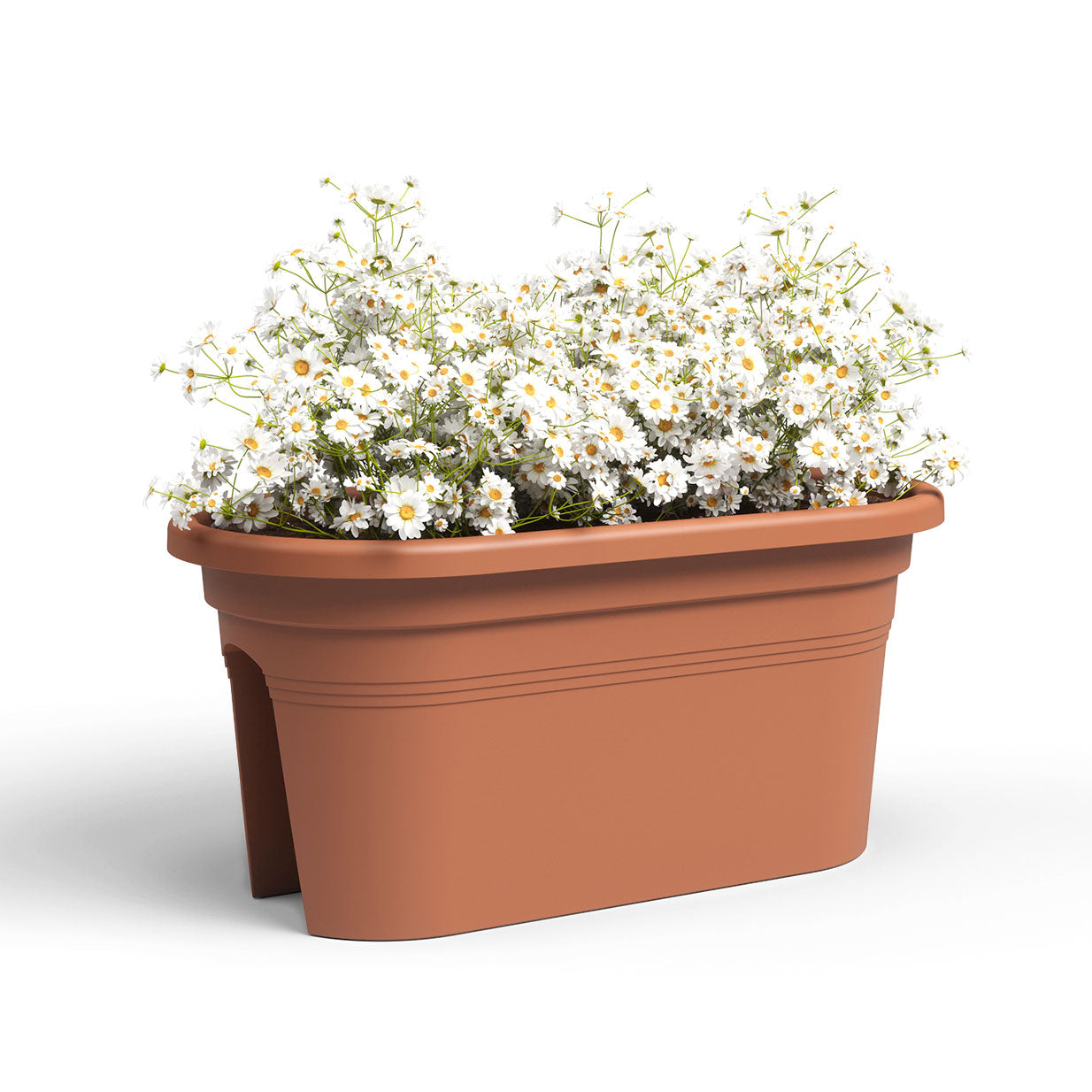 Venezia Balcony Plastic Plant Box Terracotta 60cm