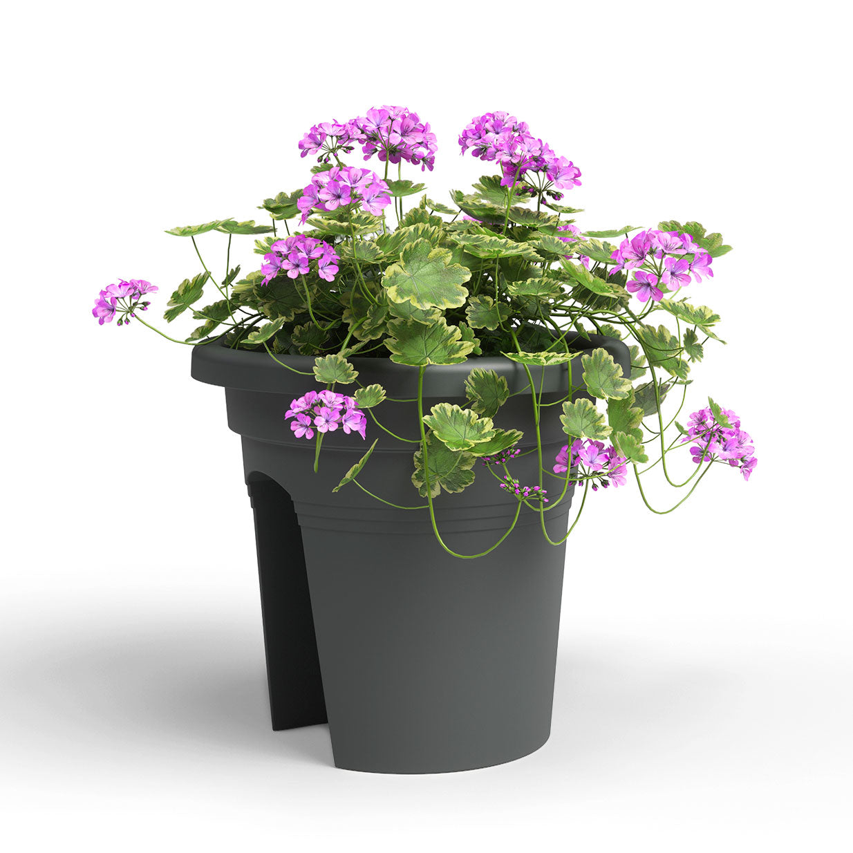 Venezia Plastic Balcony Pot Anthracite 30cm