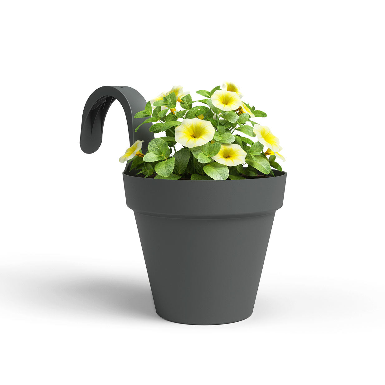 Capri Balcony Plastic Single Pot Anthracite 20cm