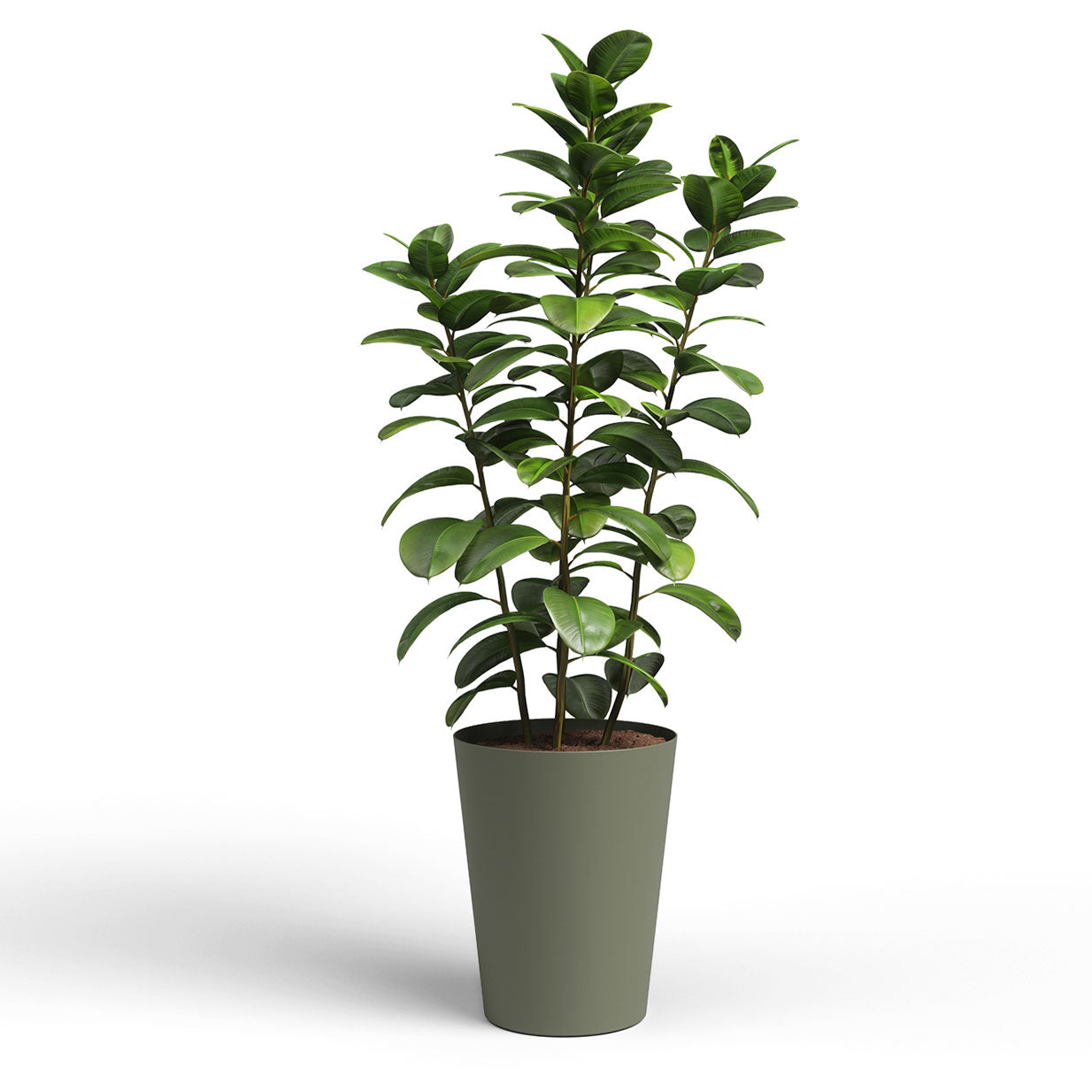 Porto Plastic High Pot Dry Green 80cm