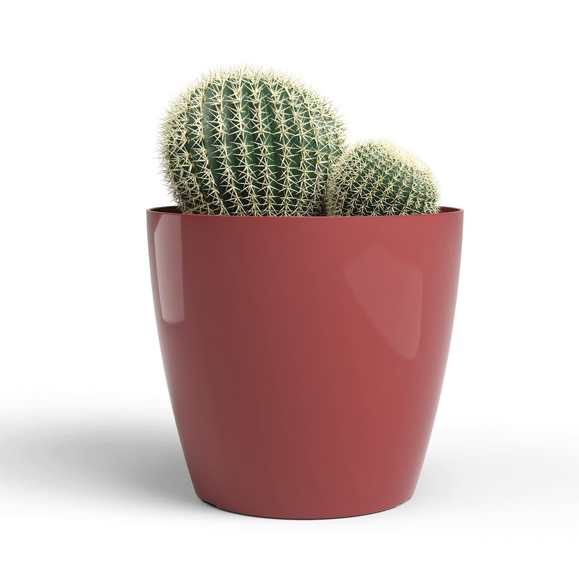 San Remo Pot Glossy Dark Red 6cm