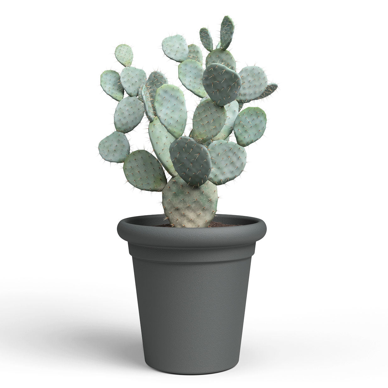 Toscana Plastic Pot Anthracite 40cm
