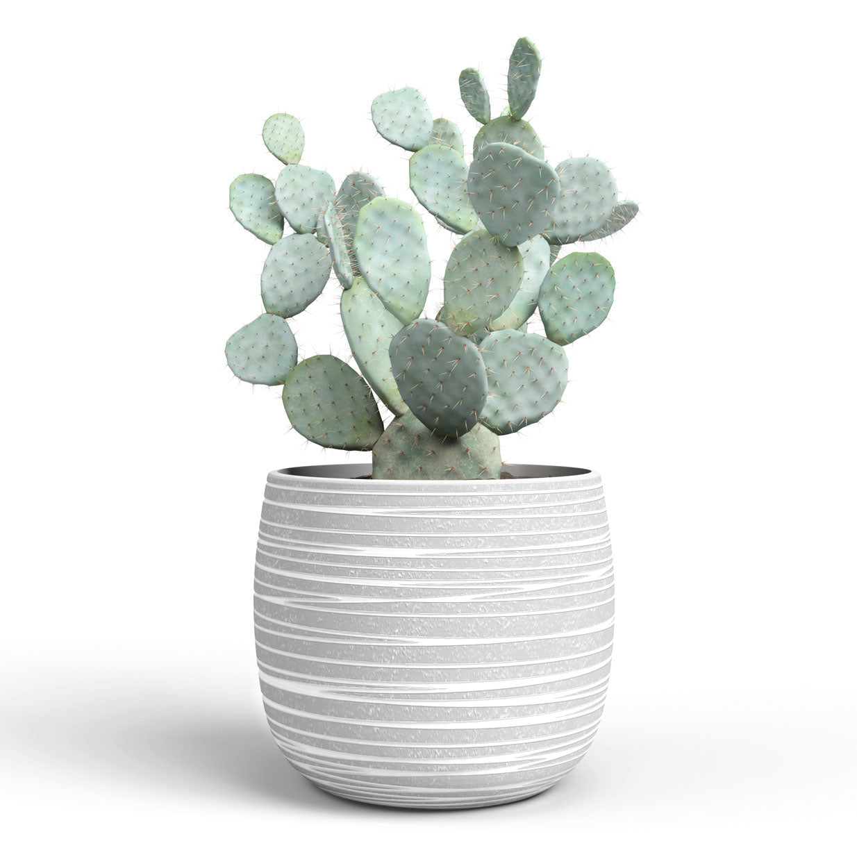 Doris Ceramic Pot Grey 20cm