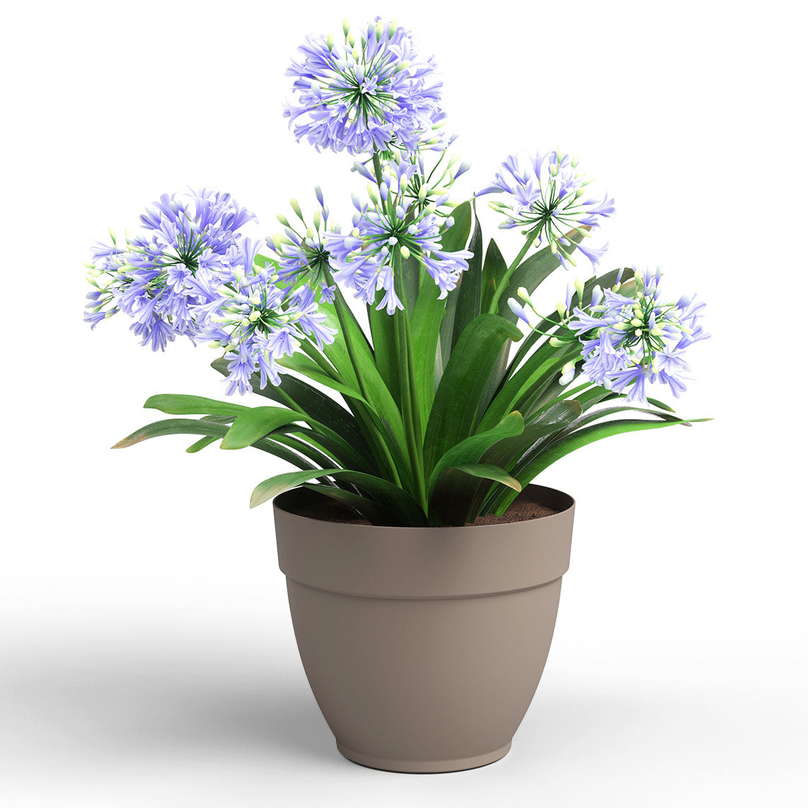 Capri Campana Plastic Pot Taupe 30cm