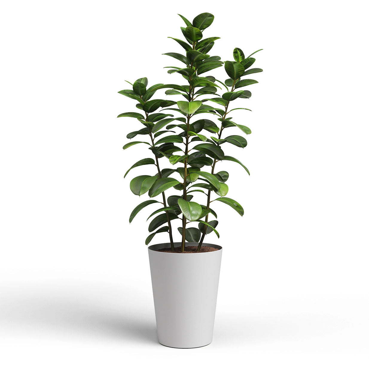 Proto Plastic High Pot Light Grey 80cm