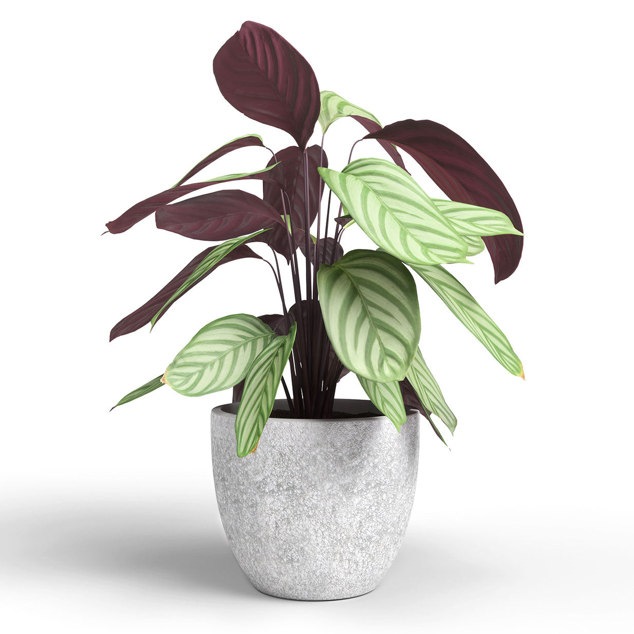 Hestia Ceramic Pot Light Grey 17cm