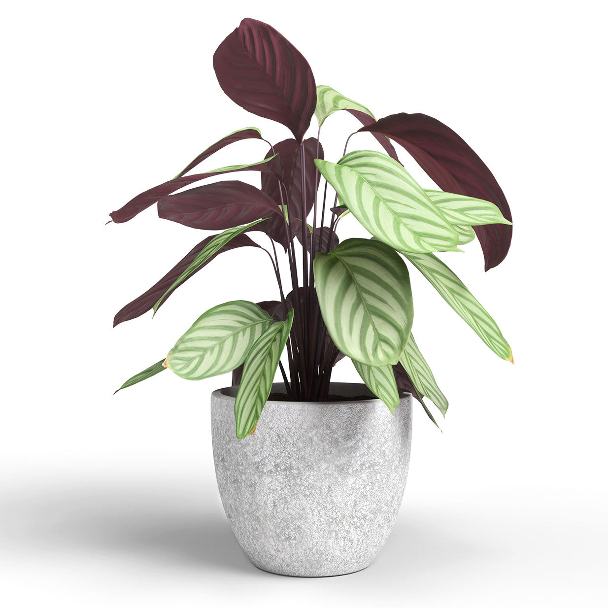 Hestia Ceramic Pot Light Grey 20cm