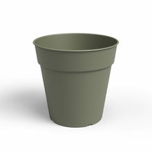 Madagascar Plastic To Grow Pot Dry Green 15cm