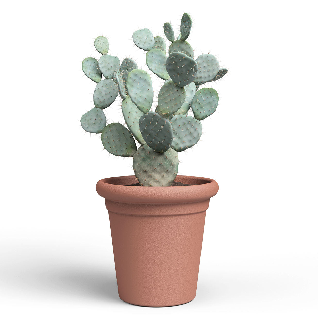 Toscana Plastic Pot Terracotta 40cm