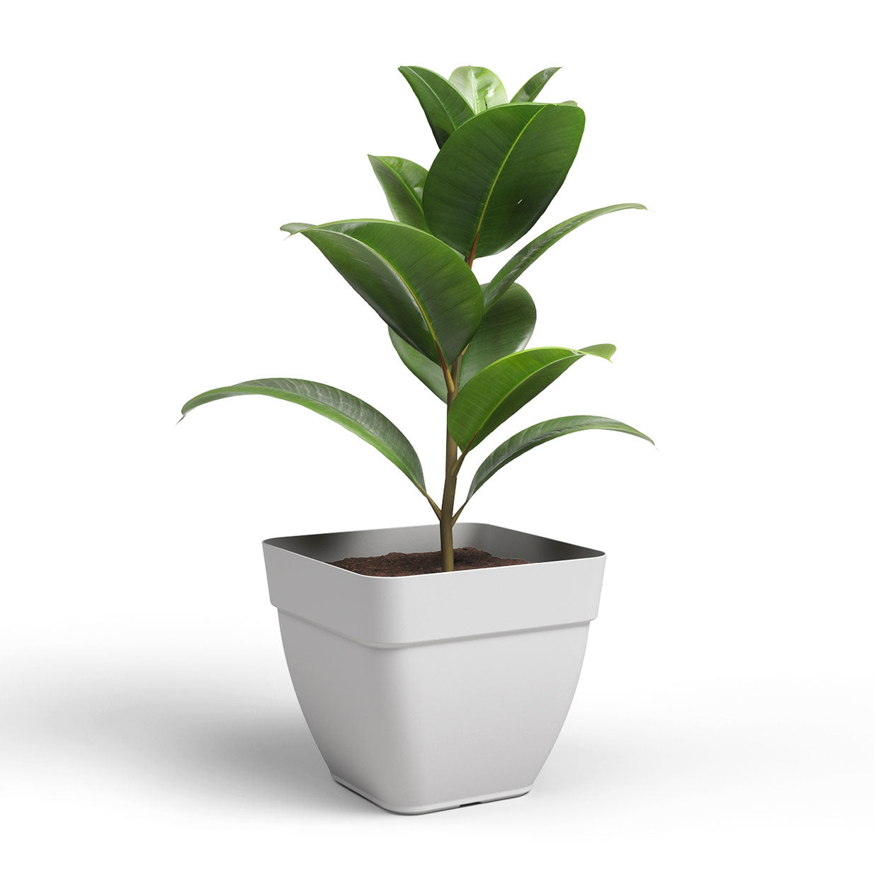 Capri Campana Plastic Square Pot Light Grey 37cm