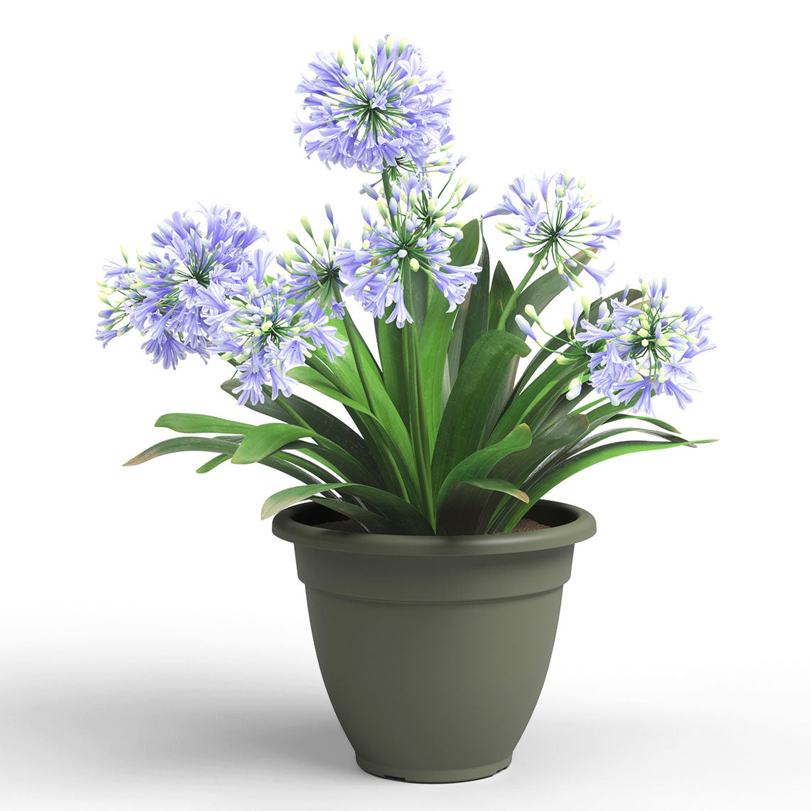 Venezia Campana Plastic Pot Dry Green 35cm