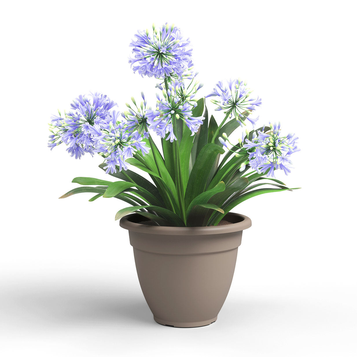 Venezia Campana Plastic Pot Taupe 30cm