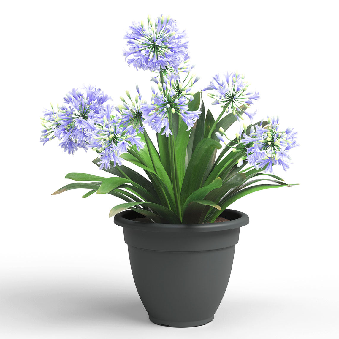 Venezia Campana Plastic Pot Anthracite 40cm