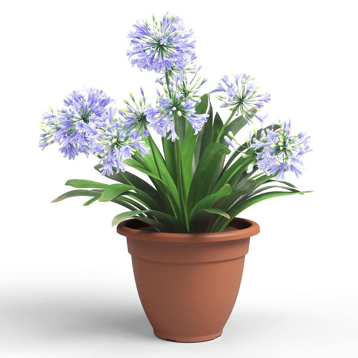 Venezia Campana Plastic Pot Terracotta 40cm