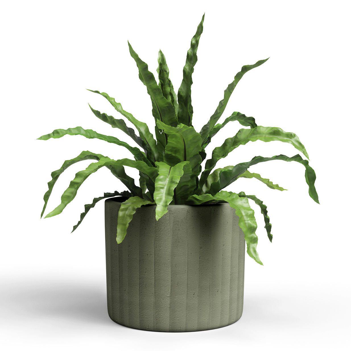 Chloe Ceramic Vertical Pot Olive Green 26cm