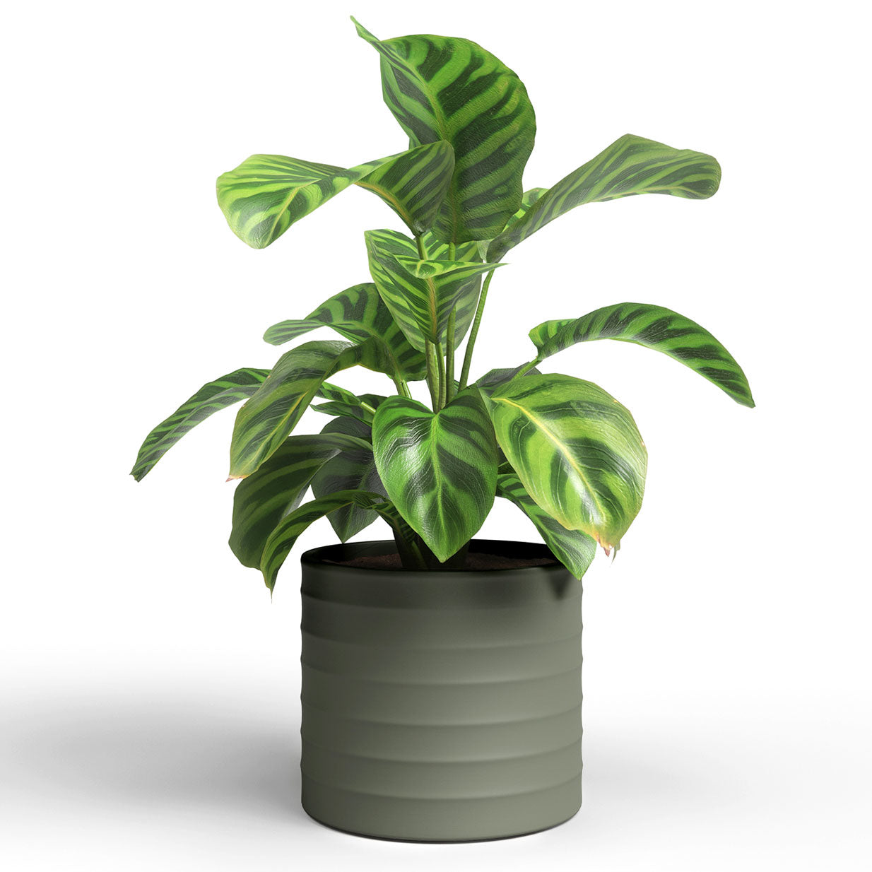 Chloe Horizontal Ceramic Pot Olive Green 21cm